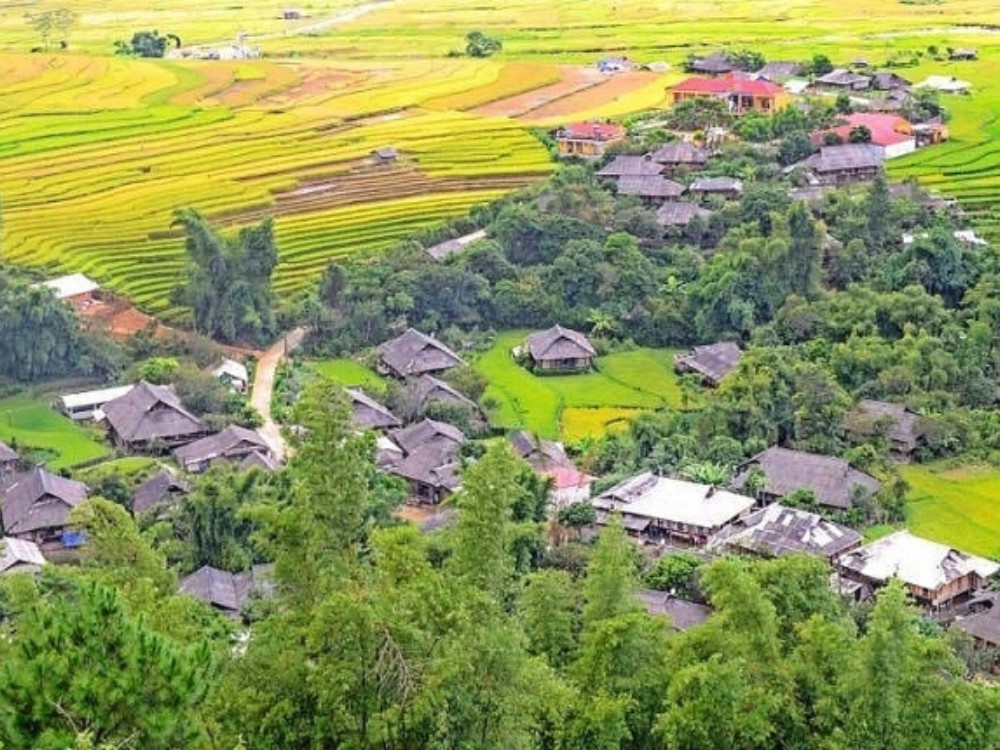 Mù Căng Chải (2)