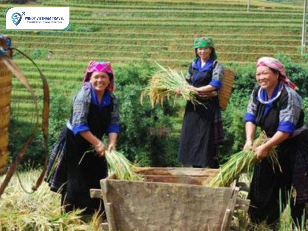 Mù Căng Chải (4)