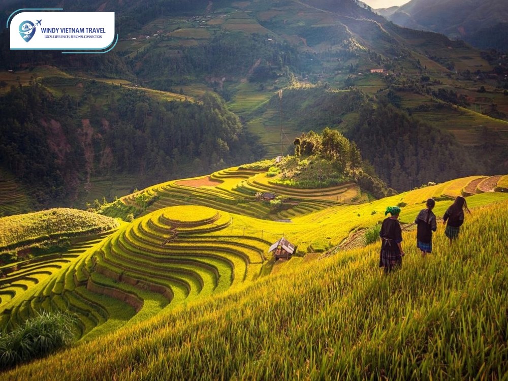 Mù Căng Chải (7)